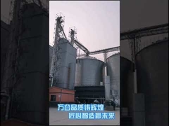 500T/D Maize Drying Equipment Hot Blast Heating Agricultural Dryer Machine