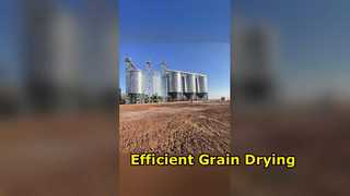 Leaders including the Secretary from Zimbabwe, Africa, Chairman Fang of Hangjin Logistics, and Gener