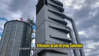 500‑ton Complete Set of Rice and Corn Drying Warehousing Equipment Intelligent Electronic Control