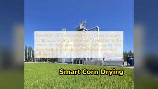 Continuous Corn Dryer PLC Control High Capacity