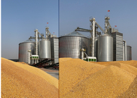 500-3000kg Corn Drying Line Capacity 1000-3000kg/H