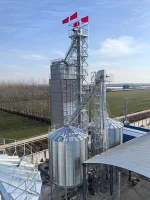 Multi-Stage Drying Paddy Dryer Machine Uniform Moisture Removal for Optimal Grain Integrity